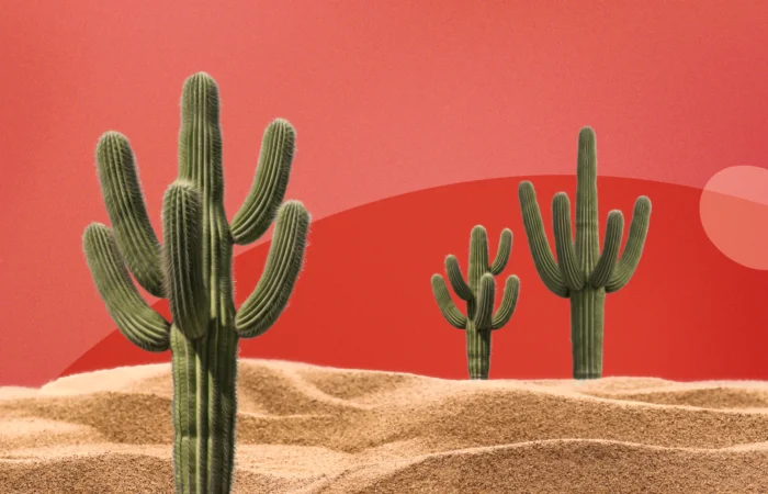 vaginal-atrophy-menopause-gsm Paysage désertique avec des cactus illustrant la sécheresse vaginale et le syndrome génito-urinaire de la ménopause