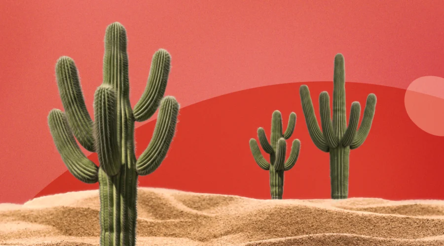Paysage désertique avec des cactus illustrant la sécheresse vaginale et le syndrome génito-urinaire de la ménopause
