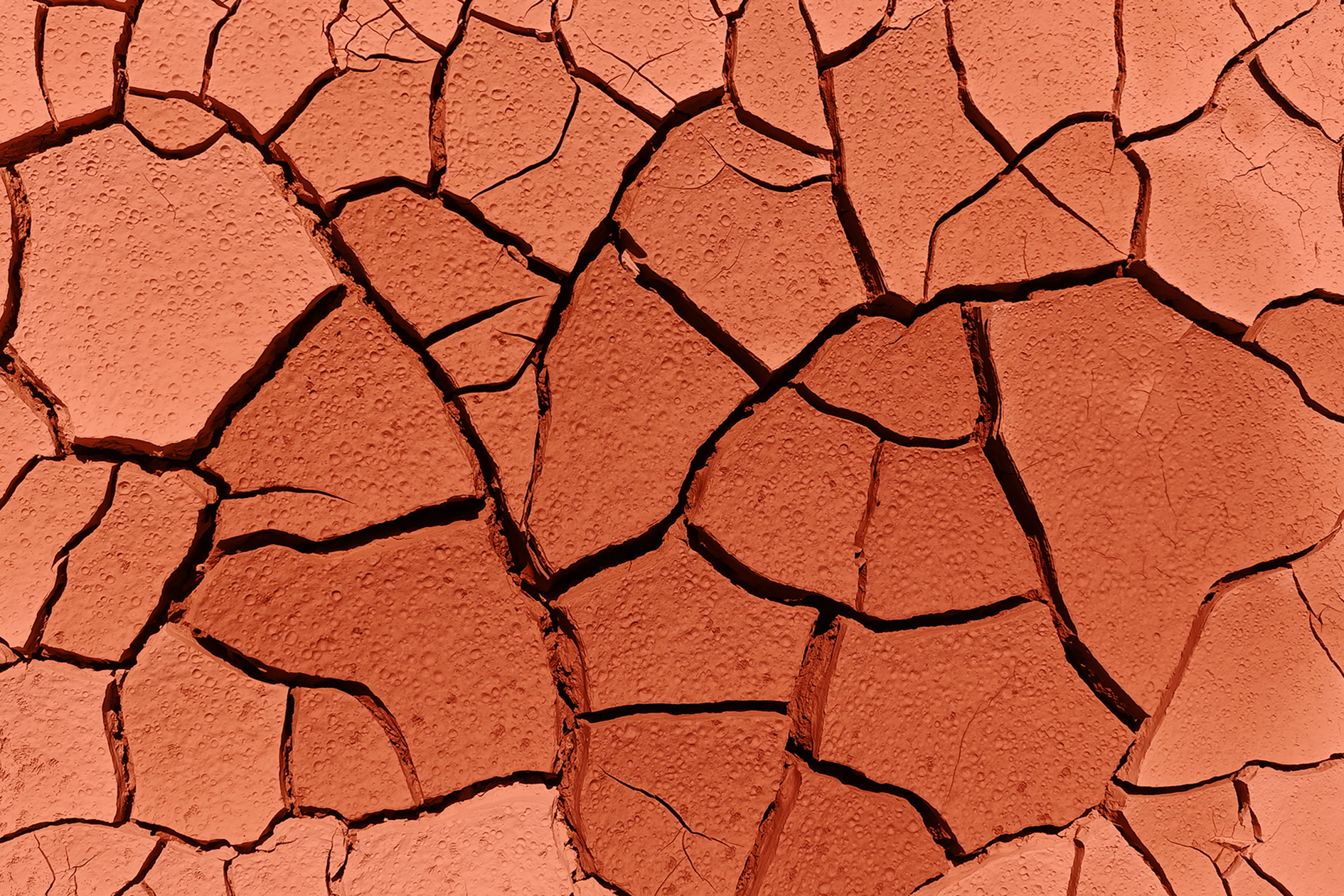 Gros plan sur de la terre sèche et craquelée aux tons terracotta, symbolisant la peau sèche et craquelée pendant la ménopause